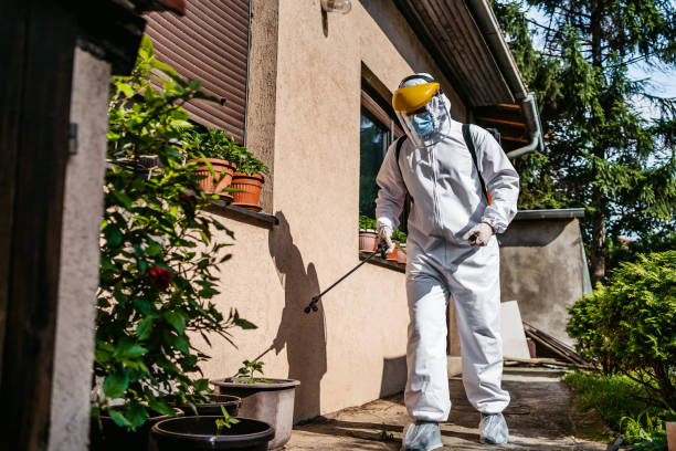 Best Flea Control Services  in Brushy Creek, TX