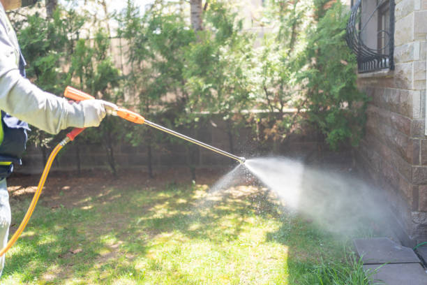 Best Insect Control  in Brushy Creek, TX