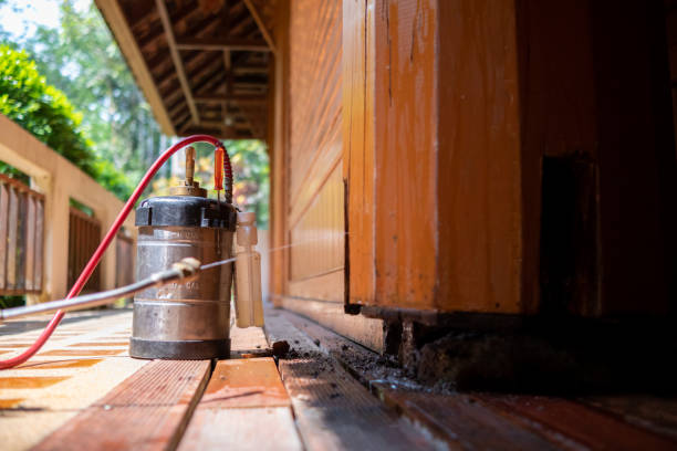 Best Pest Removal Services  in Brushy Creek, TX