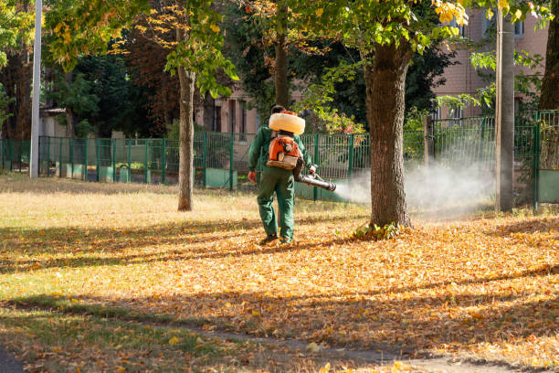 Brushy Creek, TX Pest Control Company