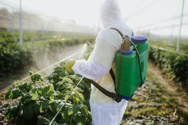 Best Affordable Pest Control Services  in Brushy Creek, TX
